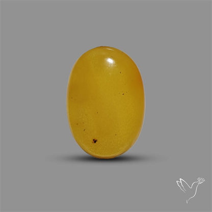 Butterscotch Baltic Amber Cabochon