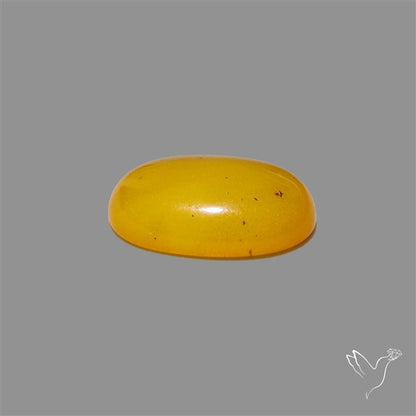 Butterscotch Baltic Amber Cabochon