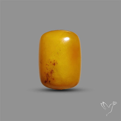 Butterscotch Baltic Amber Cabochon