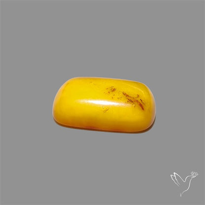Butterscotch Baltic Amber Cabochon
