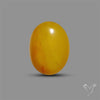 Butterscotch Baltic Amber Cabochon