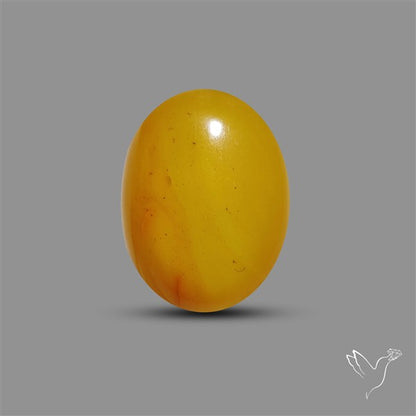 Butterscotch Baltic Amber Cabochon