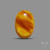 Butterscotch Baltic Amber Cabochon