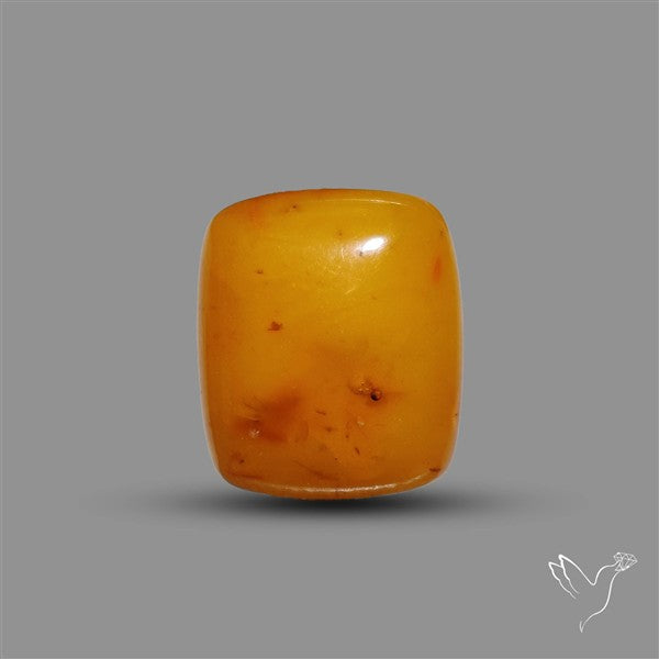Butterscotch Baltic Amber Cabochon