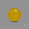Butterscotch Baltic Amber Cabochon