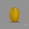 Butterscotch Baltic Amber Cabochon