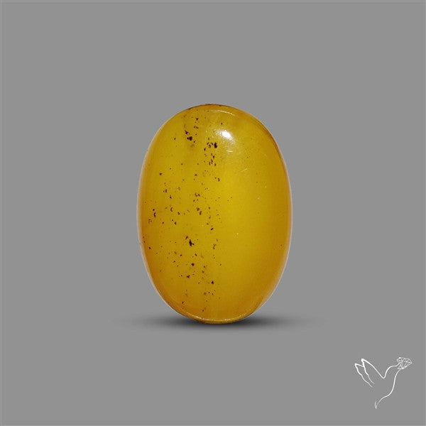 Butterscotch Baltic Amber Cabochon