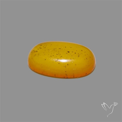 Butterscotch Baltic Amber Cabochon