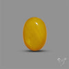 Butterscotch Baltic Amber Cabochon