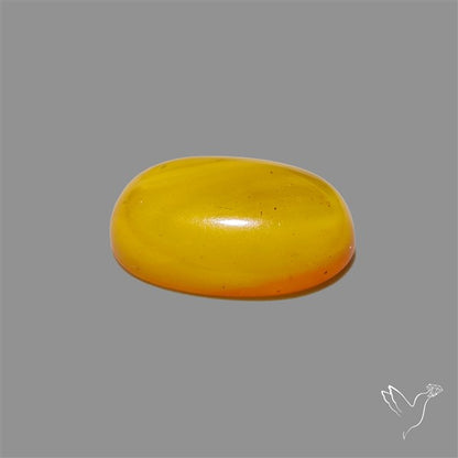 Butterscotch Baltic Amber Cabochon