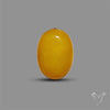 Butterscotch Baltic Amber Cabochon