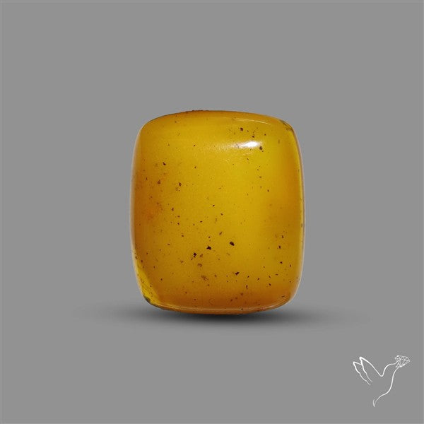 Butterscotch Baltic Amber Cabochon