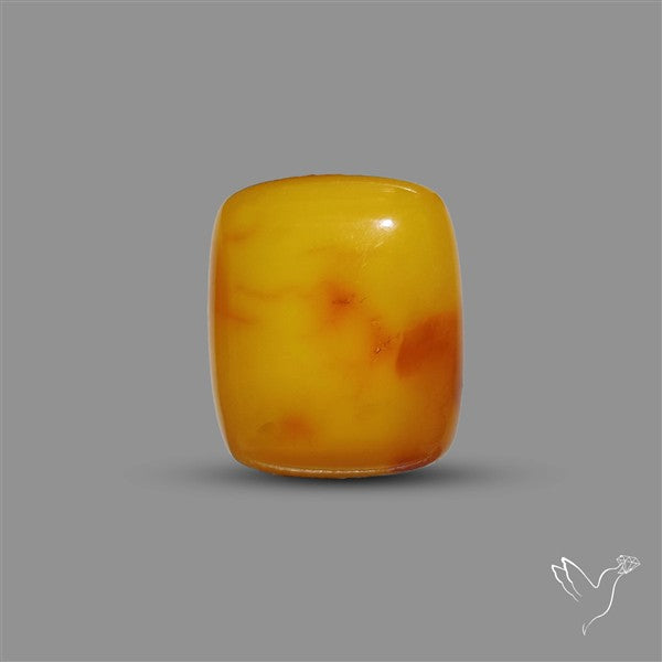 Butterscotch Baltic Amber Cabochon