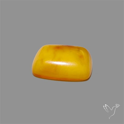 Butterscotch Baltic Amber Cabochon