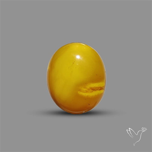 Butterscotch Baltic Amber Cabochon