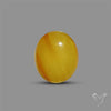 Butterscotch Baltic Amber Cabochon