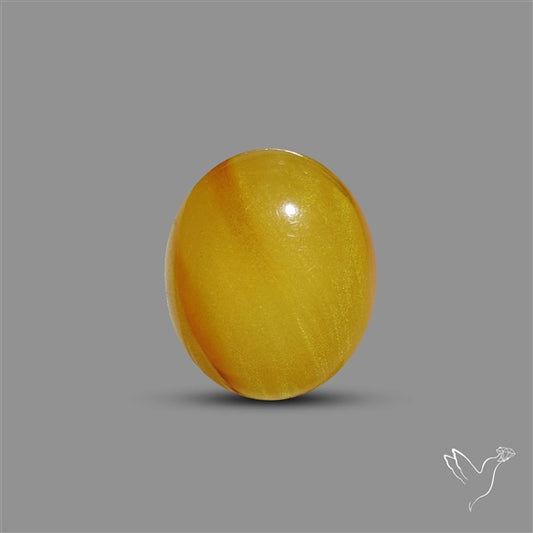 Butterscotch Baltic Amber Cabochon