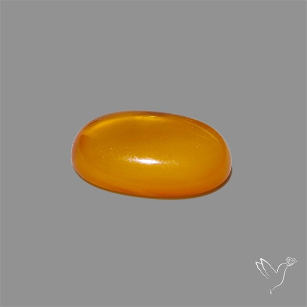 Butterscotch Baltic Amber Cabochon