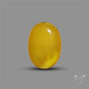 Butterscotch Baltic Amber Cabochon