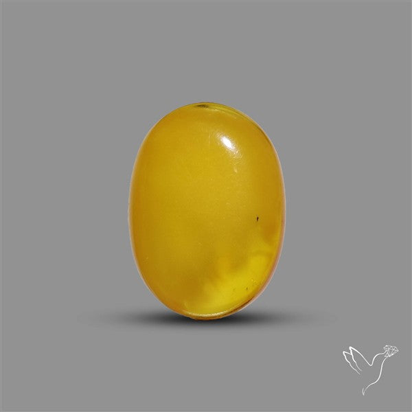 Butterscotch Baltic Amber Cabochon