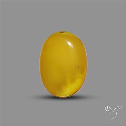 Butterscotch Baltic Amber Cabochon