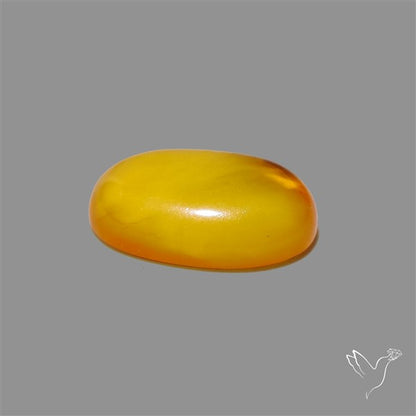 Butterscotch Baltic Amber Cabochon