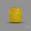 Butterscotch Baltic Amber Cabochon