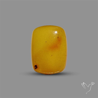 Butterscotch Baltic Amber Cabochon