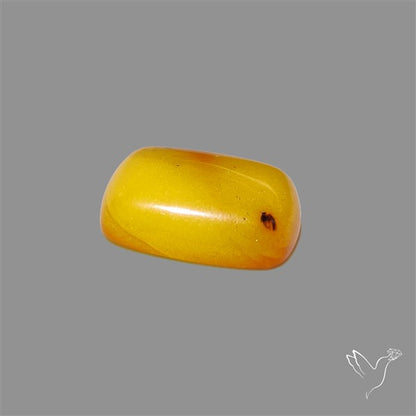 Butterscotch Baltic Amber Cabochon