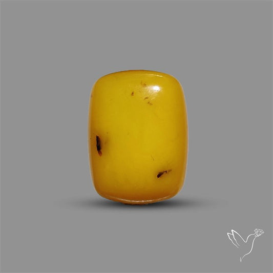 Butterscotch Baltic Amber Cabochon