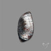 Black Moonstone With Sunstone Inclusions Cabochon