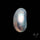 Mabe Pearl
