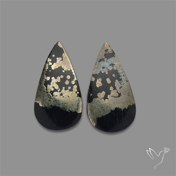 Apache Gold Pair