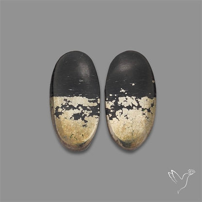 Apache Gold Pair