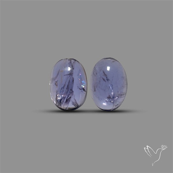 Iolite Pair
