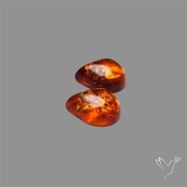 Baltic Amber Pair