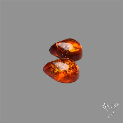 Baltic Amber Pair