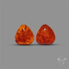 Baltic Amber Pair