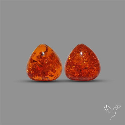 Baltic Amber Pair