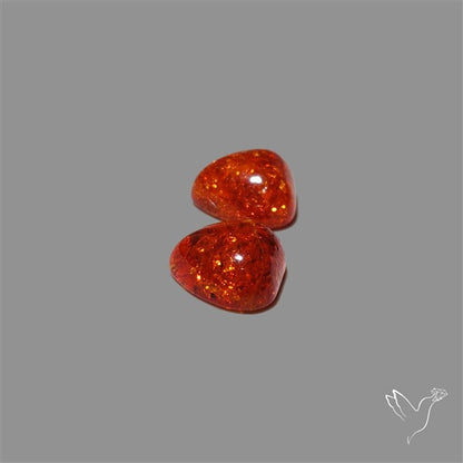 Baltic Amber Pair