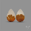 Scenic Agate Pair