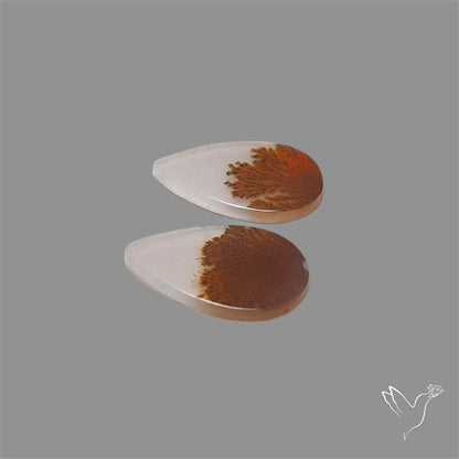 Scenic Agate Pair