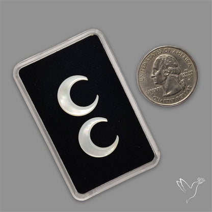 Mother Of Pearl Crescents Pair