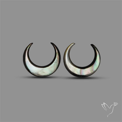 Tahitian Mother Of Pearl Crescents Pair