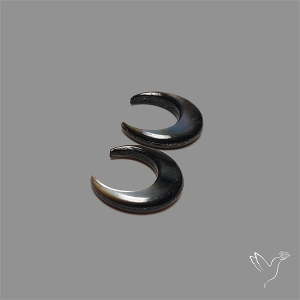 Tahitian Mother Of Pearl Crescents Pair