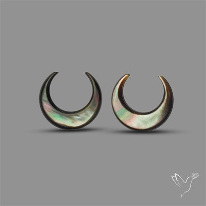 Tahitian Mother Of Pearl Crescents Pair