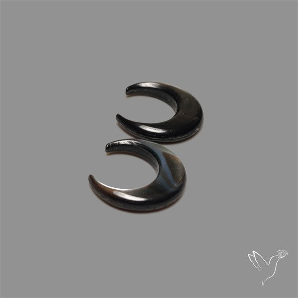 Tahitian Mother Of Pearl Crescents Pair