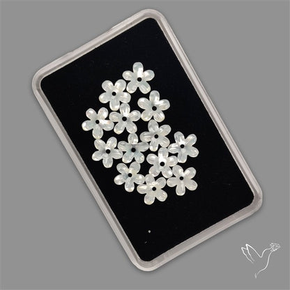 Small Mother Of Pearl Drilled Flowers Lot