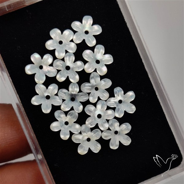 Small Mother Of Pearl Drilled Flowers Lot