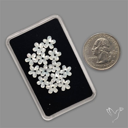 Small Mother Of Pearl Drilled Flowers Lot